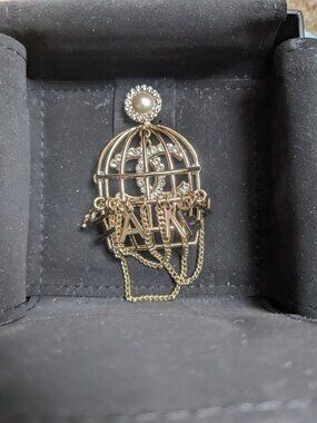 NWB Chanel birdcage chain letters faux pearl crystal golden brooch pin